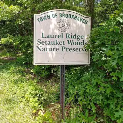 Laurel Ridge Setauket Woods Nature Preserve - Setauket- East Setauket, NY