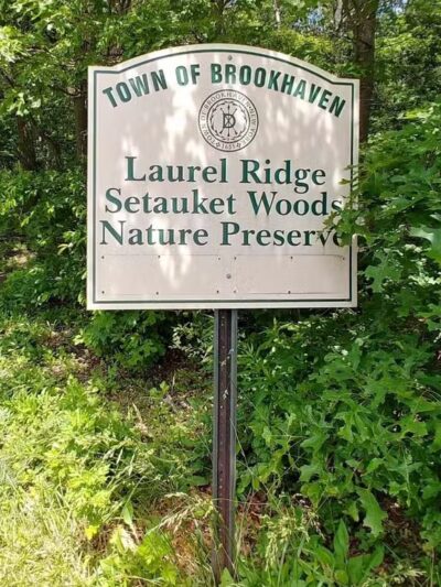 Laurel Ridge Setauket Woods Nature Preserve - Setauket- East Setauket, NY