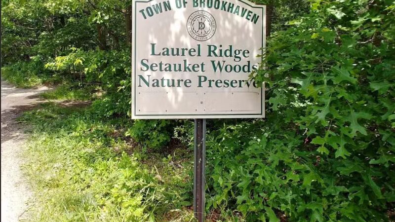 Laurel Ridge Setauket Woods Nature Preserve - Setauket- East Setauket, NY