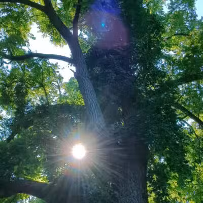 Setauket Greenway Trail - Setauket- East Setauket, NY