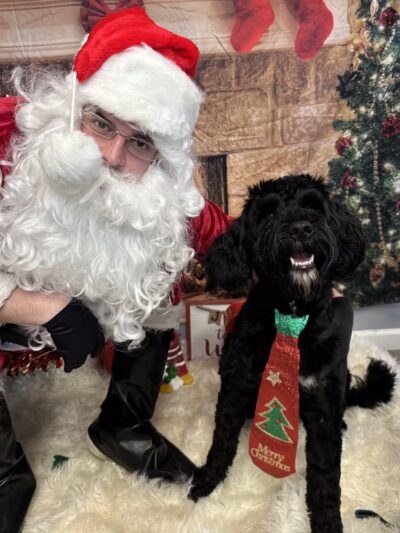 The Social Hound Dog Park and Hotel - Setauket- East Setauket, NY