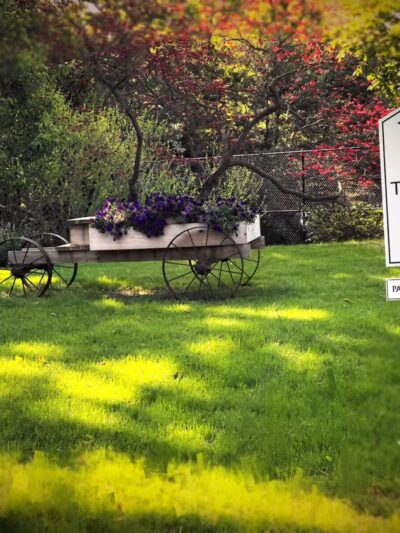 Trustees Park - Setauket- East Setauket, NY