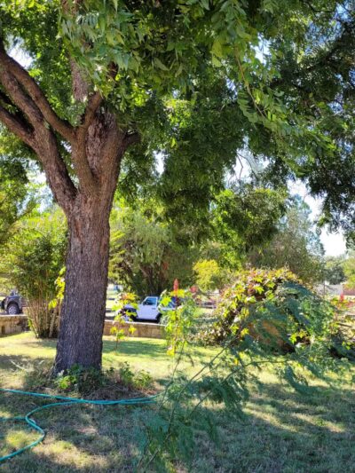 Seymour City Park - Seymour, TX