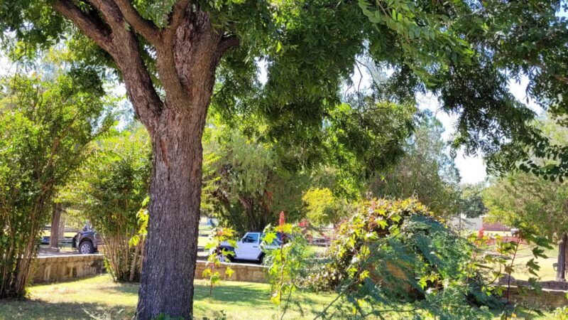 Seymour City Park - Seymour, TX