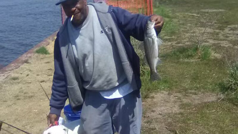 Public Fishing Area - Sharptown, MD