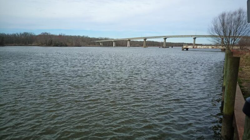 Public Fishing Area - Sharptown, MD