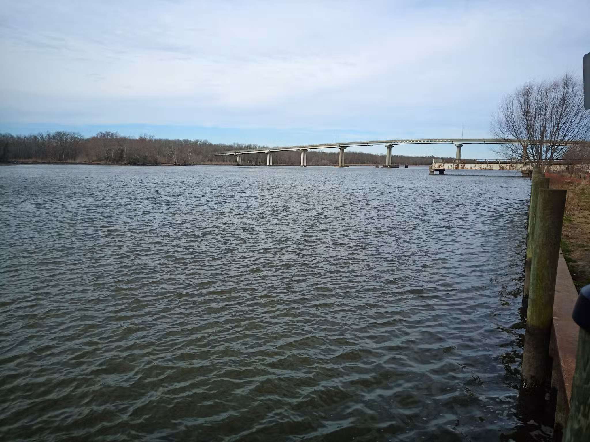 Public Fishing Area - Sharptown, MD
