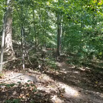 Old Short Hills Park - Short Hills, NJ