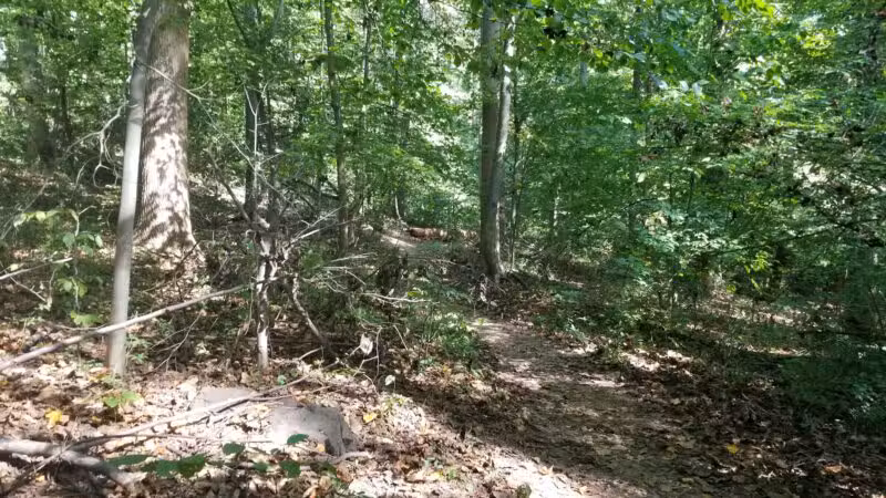 Old Short Hills Park - Short Hills, NJ