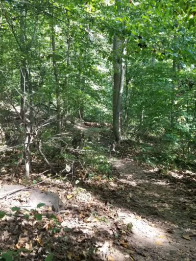 Old Short Hills Park - Short Hills, NJ