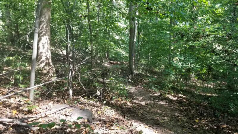 Old Short Hills Park - Short Hills, NJ