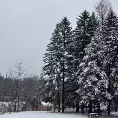 Old Short Hills Park - Short Hills, NJ