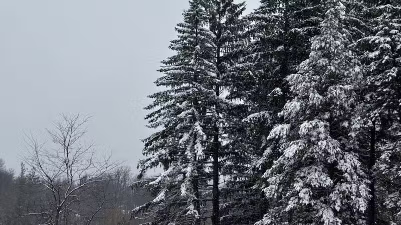 Old Short Hills Park - Short Hills, NJ
