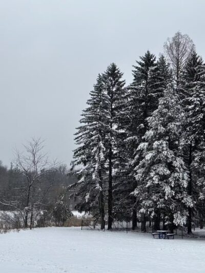Old Short Hills Park - Short Hills, NJ