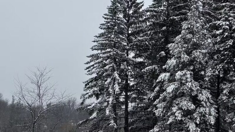 Old Short Hills Park - Short Hills, NJ