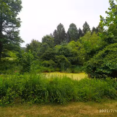Old Short Hills Park - Short Hills, NJ