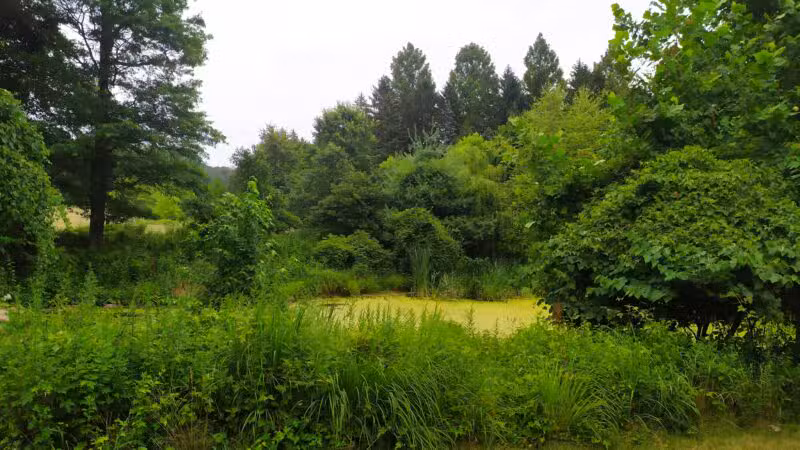 Old Short Hills Park - Short Hills, NJ