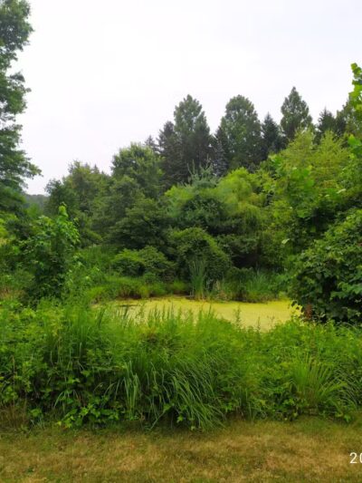 Old Short Hills Park - Short Hills, NJ