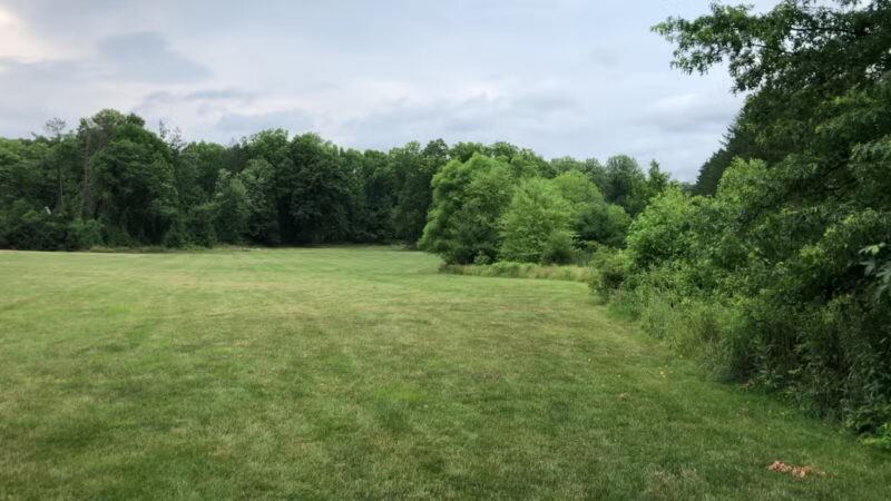 Old Short Hills Park - Short Hills, NJ