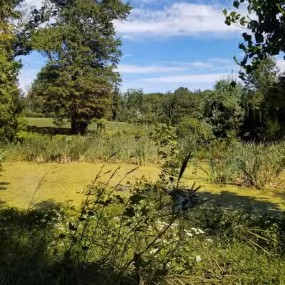 Old Short Hills Park - Short Hills, NJ
