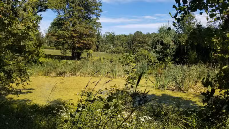 Old Short Hills Park - Short Hills, NJ