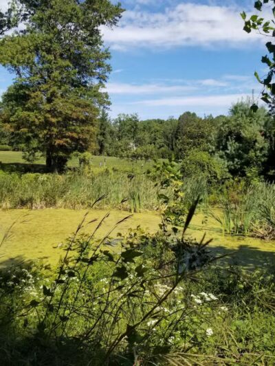 Old Short Hills Park - Short Hills, NJ