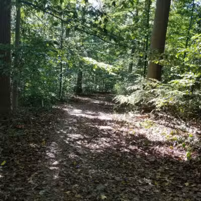 Old Short Hills Park - Short Hills, NJ