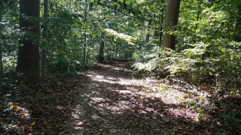 Old Short Hills Park - Short Hills, NJ
