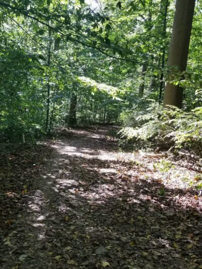 Old Short Hills Park - Short Hills, NJ