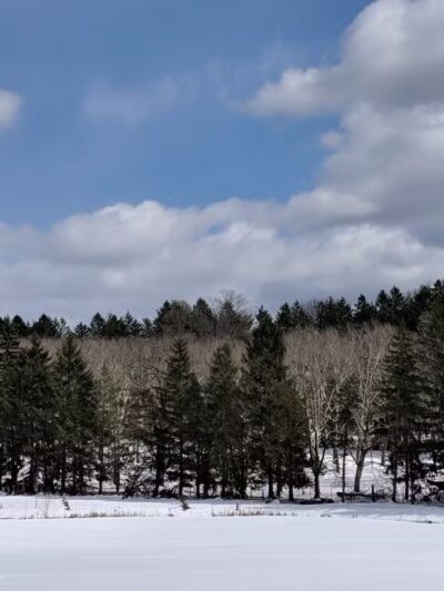 Old Short Hills Park - Short Hills, NJ