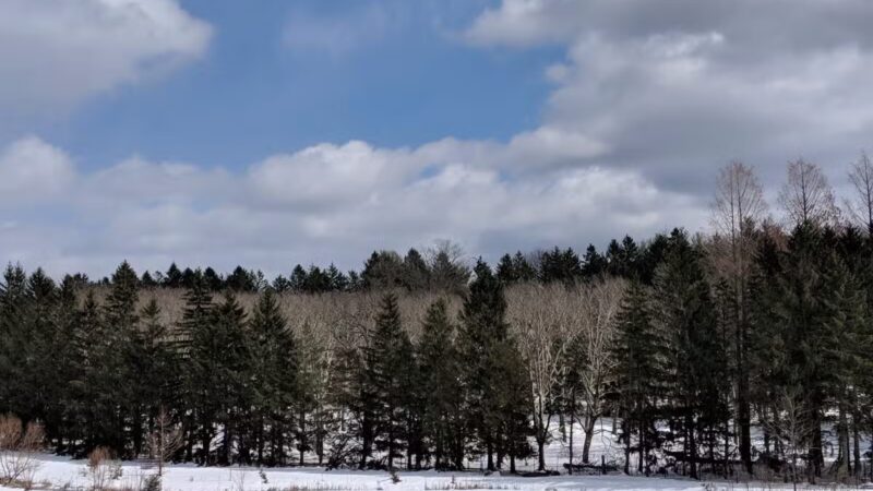 Old Short Hills Park - Short Hills, NJ