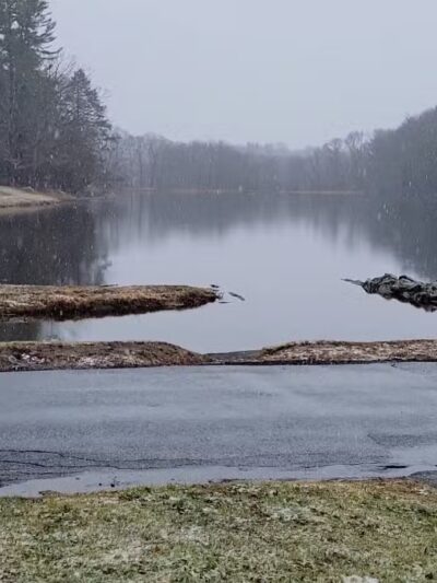 Dean Park - Shrewsbury, MA