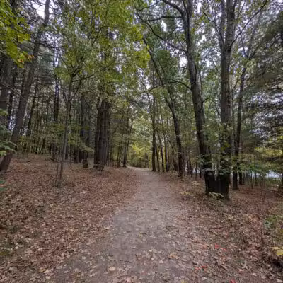 Dean Park - Shrewsbury, MA