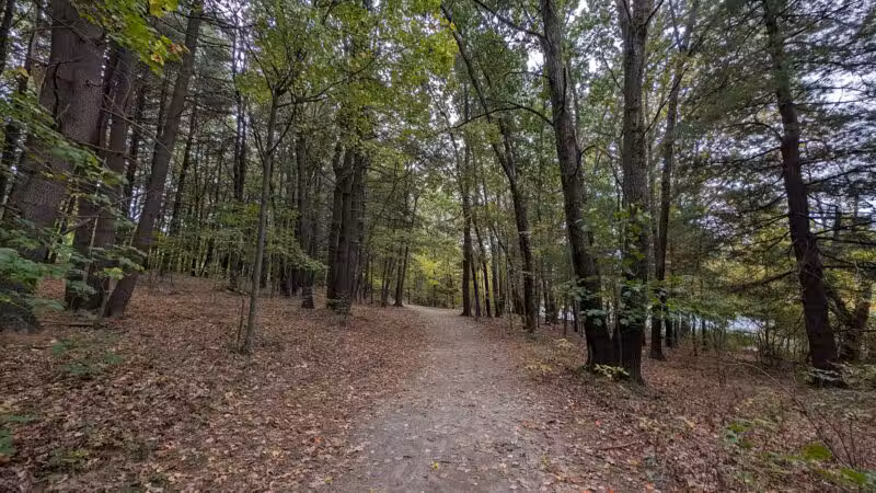 Dean Park - Shrewsbury, MA