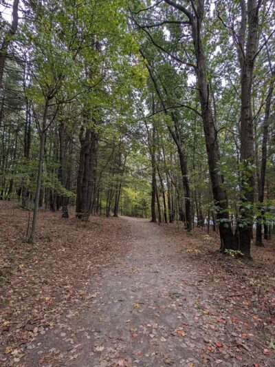 Dean Park - Shrewsbury, MA