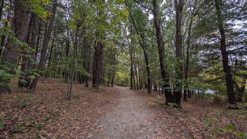 Dean Park - Shrewsbury, MA
