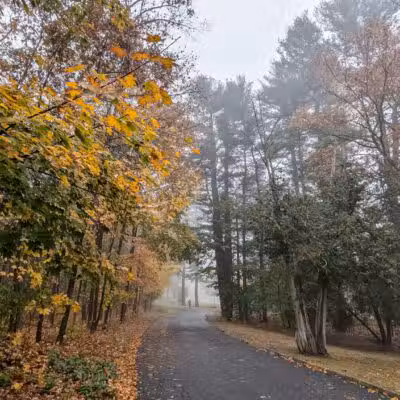 Dean Park - Shrewsbury, MA