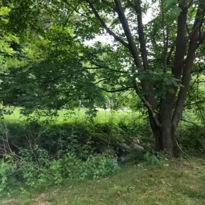 Greylock Park - Shrewsbury, MA