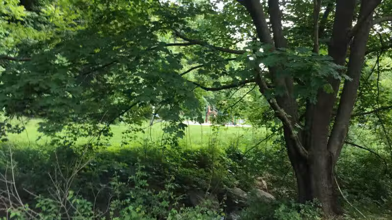 Greylock Park - Shrewsbury, MA