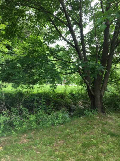 Greylock Park - Shrewsbury, MA