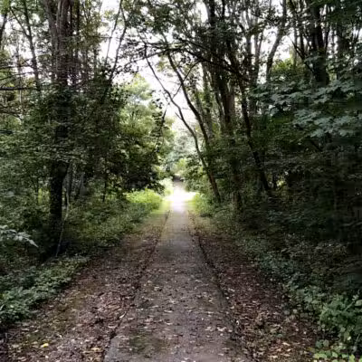 Greylock Park - Shrewsbury, MA