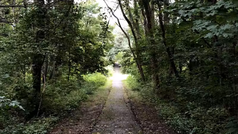 Greylock Park - Shrewsbury, MA