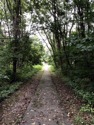 Greylock Park - Shrewsbury, MA