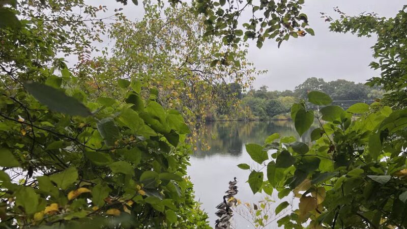 Jordan Pond Walking Trail - Shrewsbury, MA