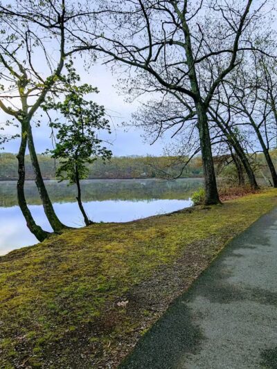 Jordan Pond Walking Trail - Shrewsbury, MA