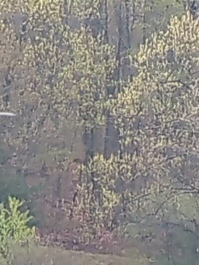 Jordan Pond Walking Trail - Shrewsbury, MA
