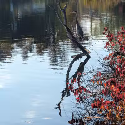 Jordan Pond Walking Trail - Shrewsbury, MA