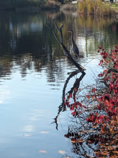 Jordan Pond Walking Trail - Shrewsbury, MA