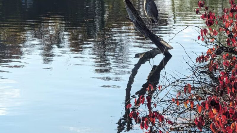 Jordan Pond Walking Trail - Shrewsbury, MA