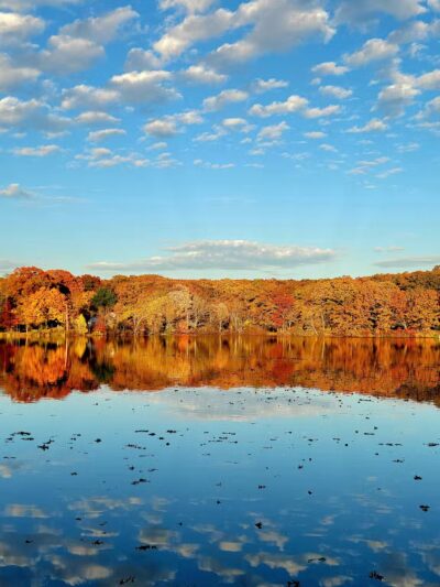 Jordan Pond Walking Trail - Shrewsbury, MA